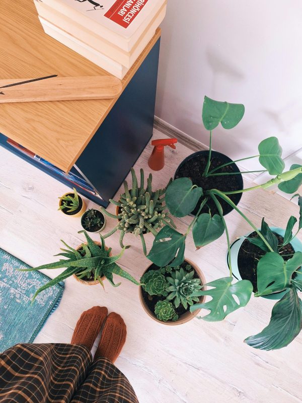 pexels-berna-327511462-37207924